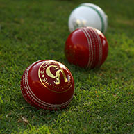 Cricket Ball