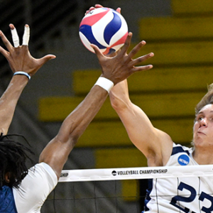 Volley Balls