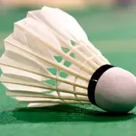 Shuttlecocks